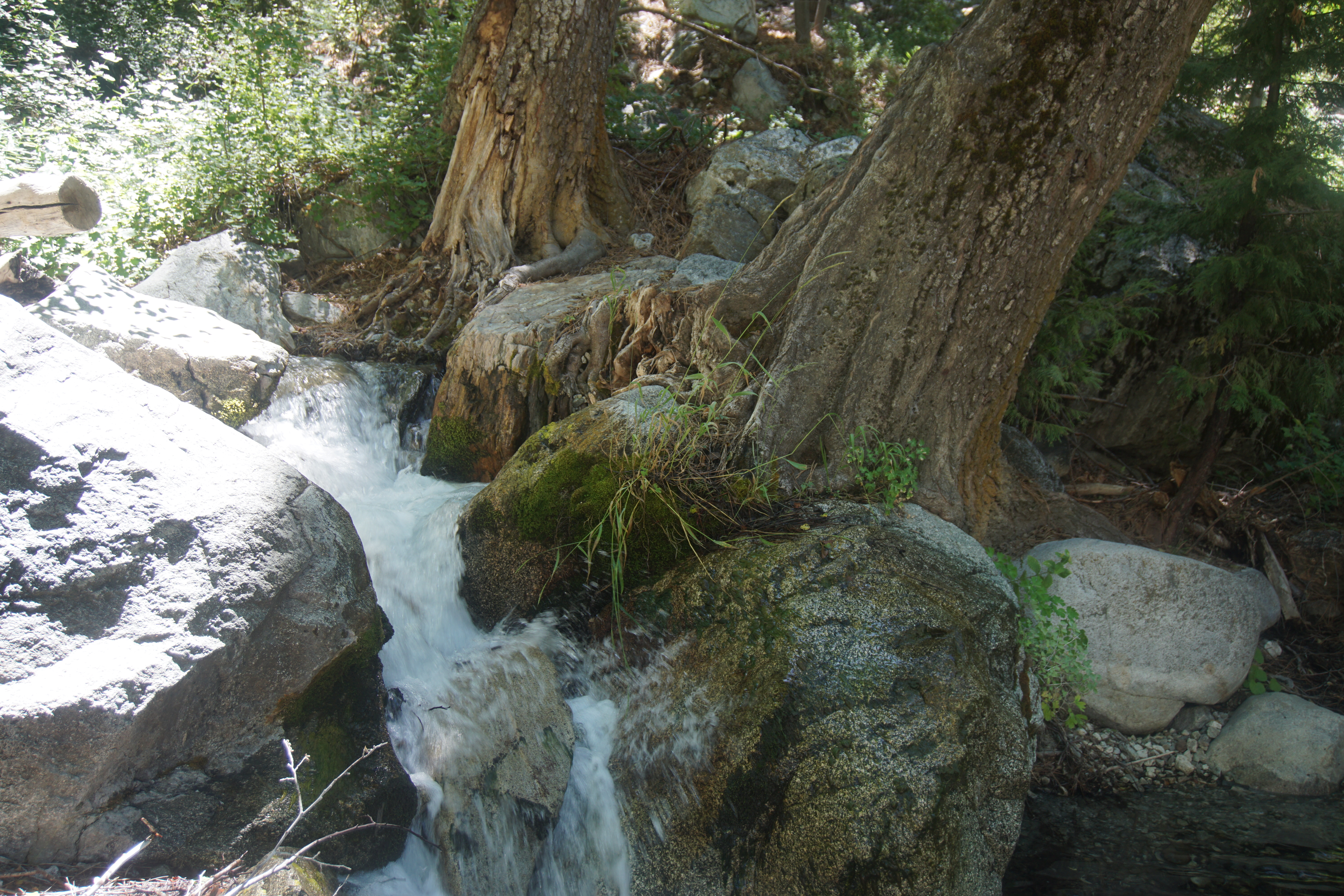 stream1