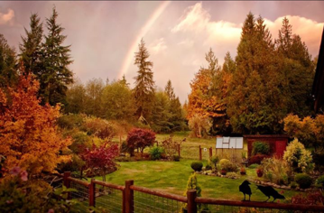 farm