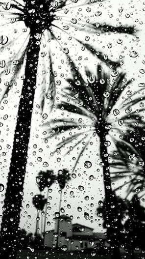 stables rain