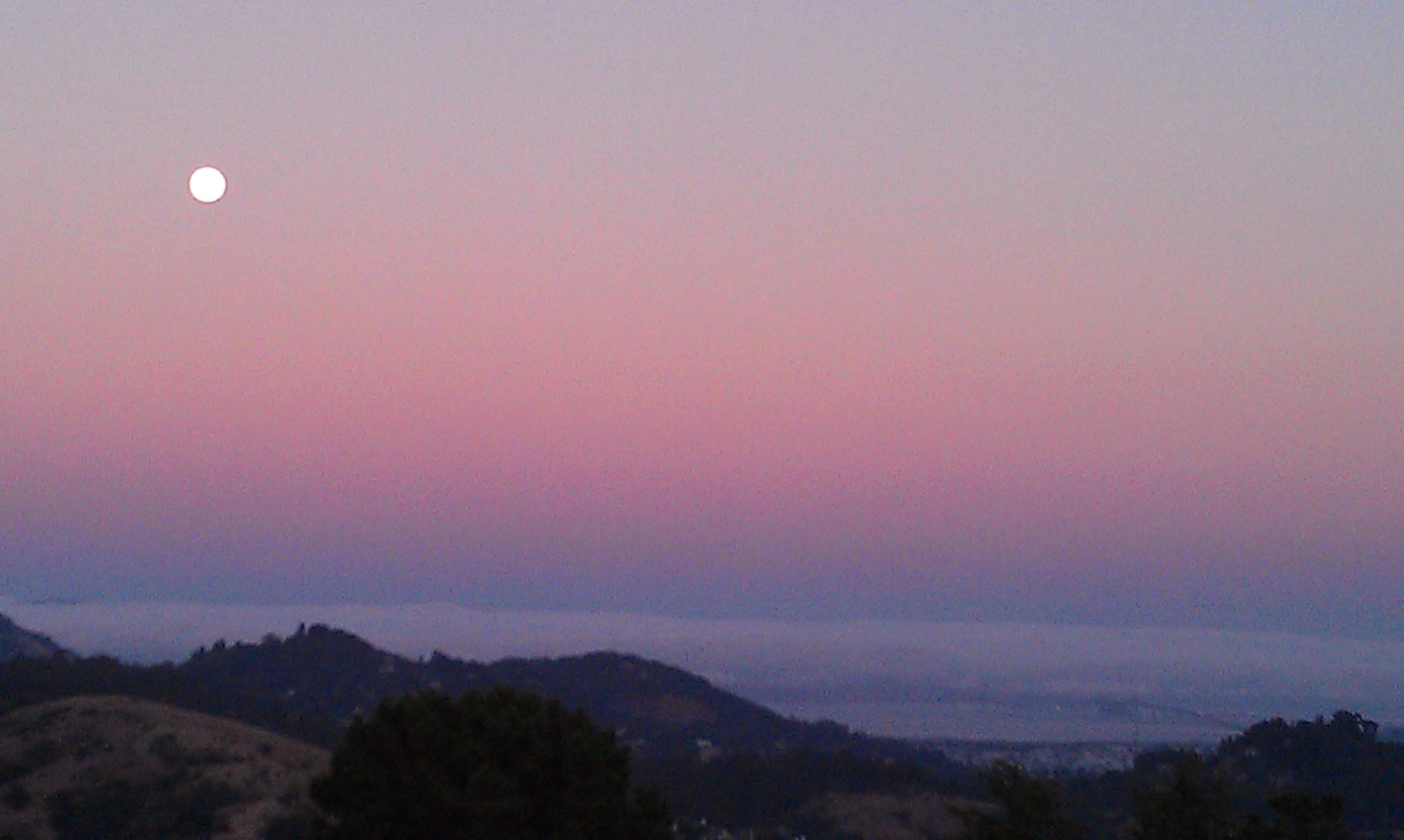 Blue Moon East Bay